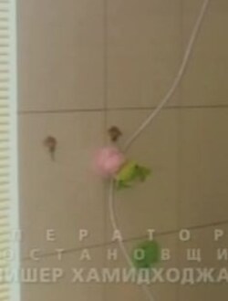 Слив Надежда Бахтина